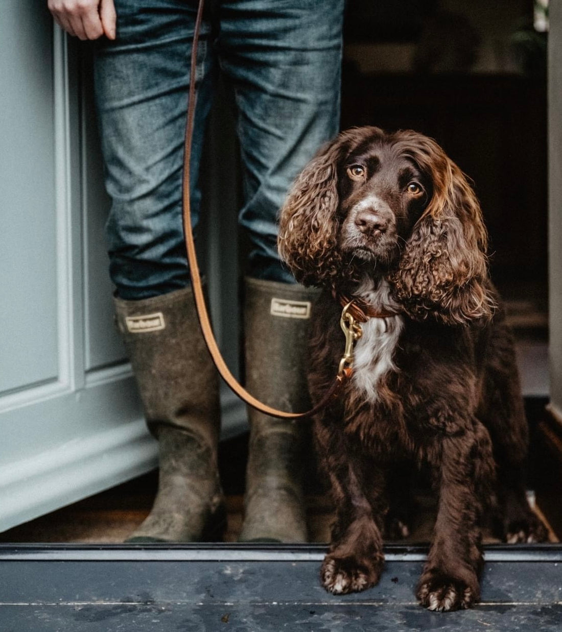 Alf & Co. Leather Dog Lead